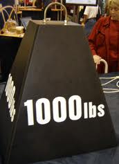 1000 lb weight capability bariatric equipment