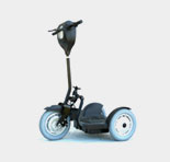 Stand N Ride Standard Scooter